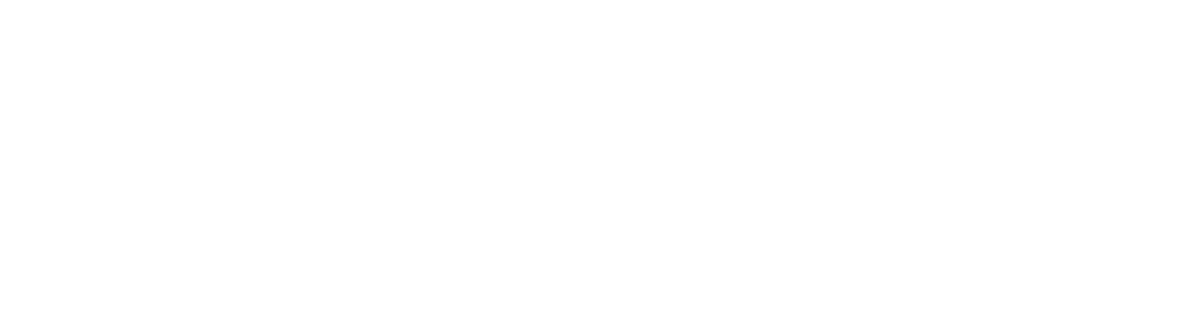 logo_Type